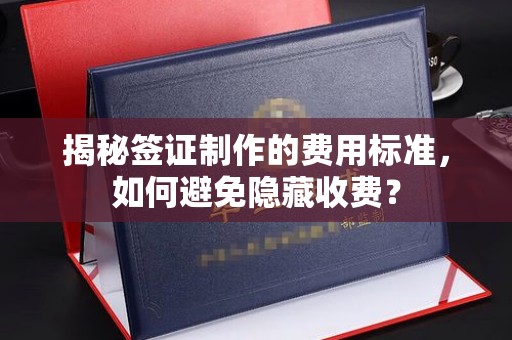 海阳揭秘签证制作的费用标准，如何避免隐藏收费？