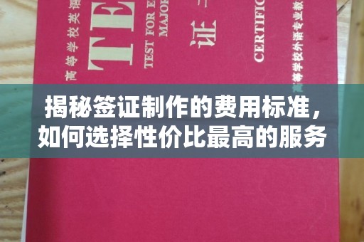 海阳揭秘签证制作的费用标准，如何选择性价比最高的服务？