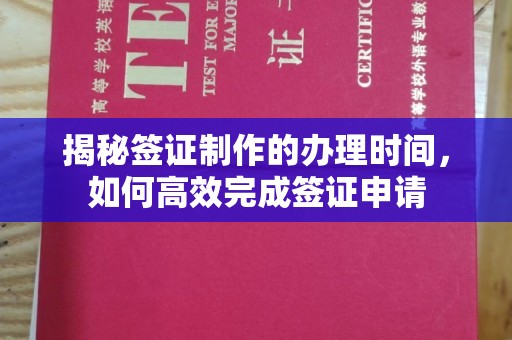 海阳揭秘签证制作的办理时间，如何高效完成签证申请