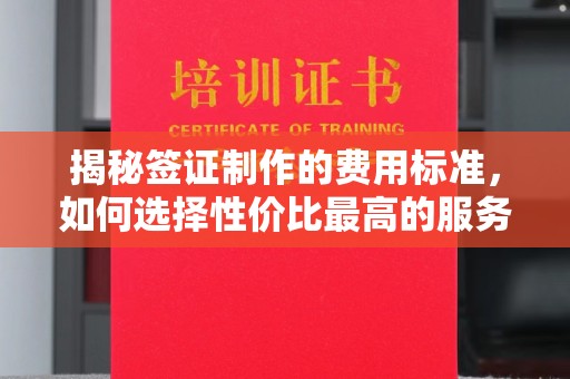 海阳揭秘签证制作的费用标准，如何选择性价比最高的服务？
