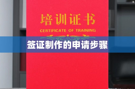 海阳签证制作的申请步骤